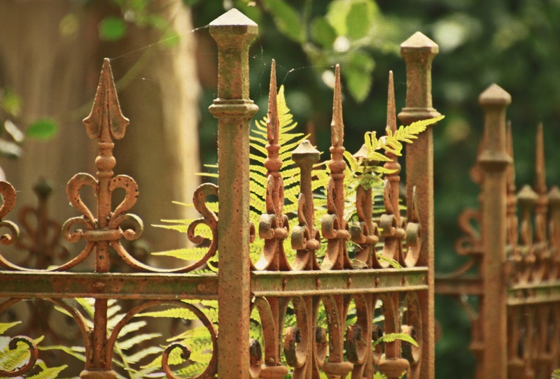 rusty, stainless, verschnörkelt, metal, mourning, commemorate, rest, wrought iron, cemetery, pattern, boundary, gloomy, old, decoration, ferns, protection