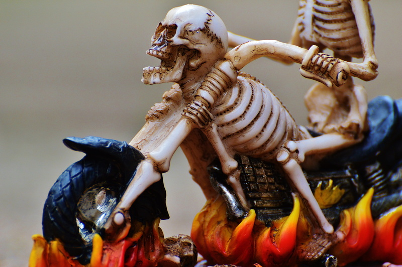 human representation, nature, Skeleton, bone, skull and crossbones, skull bone, art and craft, sculpture, dinosaur, representation, close-up, aggression