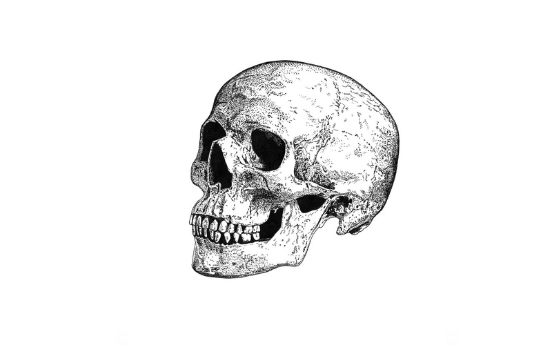 vertebrate, bone, art, cut out, motorcycles, close-up, single object, human skeleton, hd, black background, no people, still life, x, px, white background