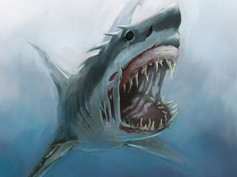 shark, 1080P, drawing, sea monsters