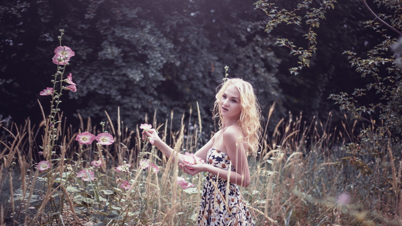 hands, people, summer, black, caucasian Ethnicity, love, fashion, dress, purple, meadow, happiness, woman, keep, tube, beautiful, girl collects flowers