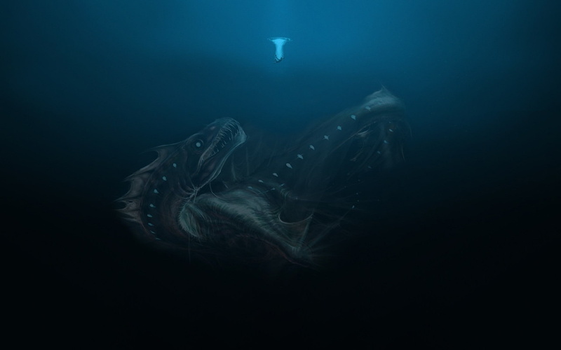 water, sea life, one animal, marine, nature, animal, vertebrate, underwater deep sea sea monsters, animal wildlife, dark, fish, blue, no people, sea, swimming