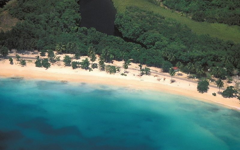 tranquility, green color, day, beauty in nature, land, turquoise colored, palm trees, landscape, tree, sand, waterfront, scenics - nature, turquoise, road