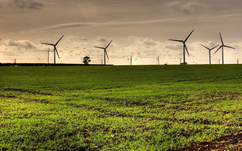 landscape, nature, grass, wind turbine, 1080P, turbines