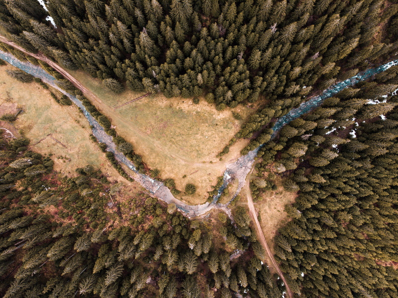 full frame, no people, art, environment, scenic, beauty in nature, water, nature, scenery, non-urban scene, evergreen, tranquility, pine, landscape, tranquil scene