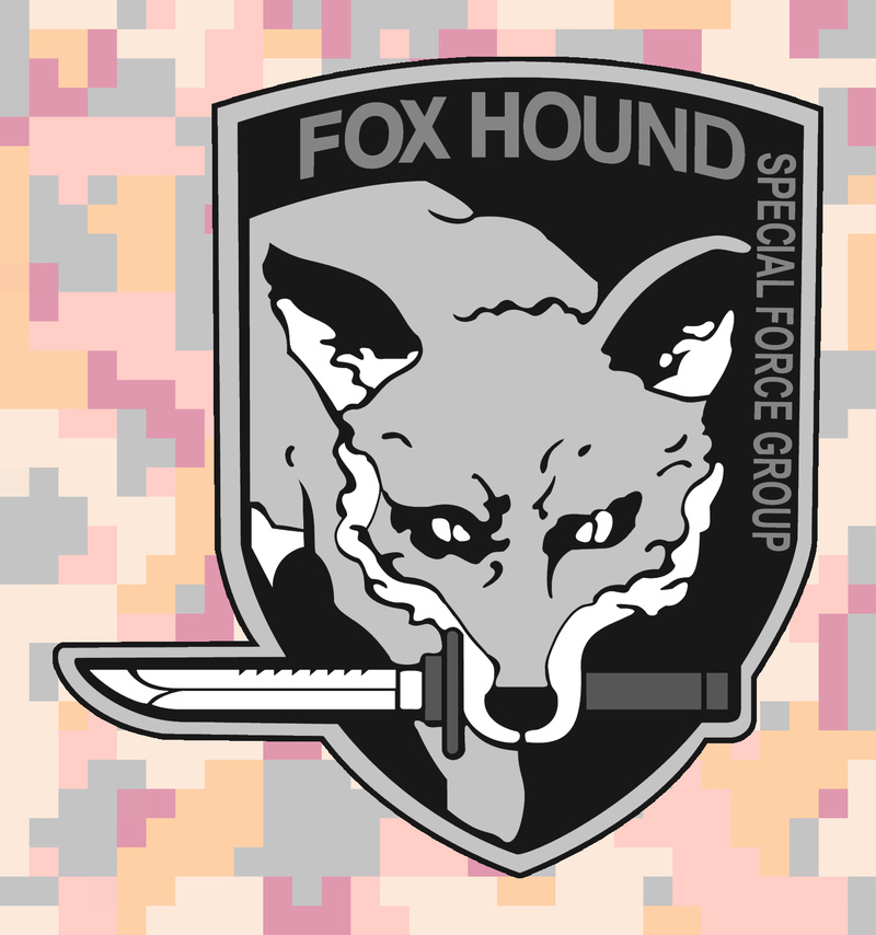 720P, FOXHOUND, Metal Gear Solid