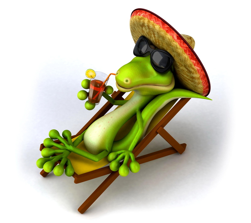 chaise, sombrero, indoors, crocodile, lizard, representation, glasses, vegetable, close-up, stay, relax, freshness, green color, studio shot, resort, chili pepper