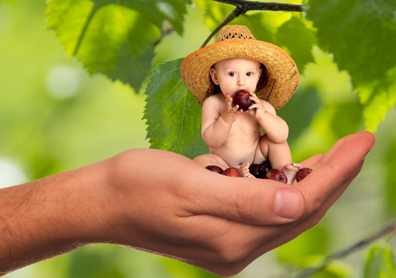 person, innocence, nature, one person, responsibility, hand, plant, s, sombrero, childhood, wearing, green color, shirtless, outdoors, adult, child, representation