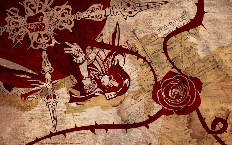 nature, close-up, 1080P, floral pattern, red, plant, flower, wall - building feature, Esther Blanchett, creativity, Trinity Blood, art and craft, pattern