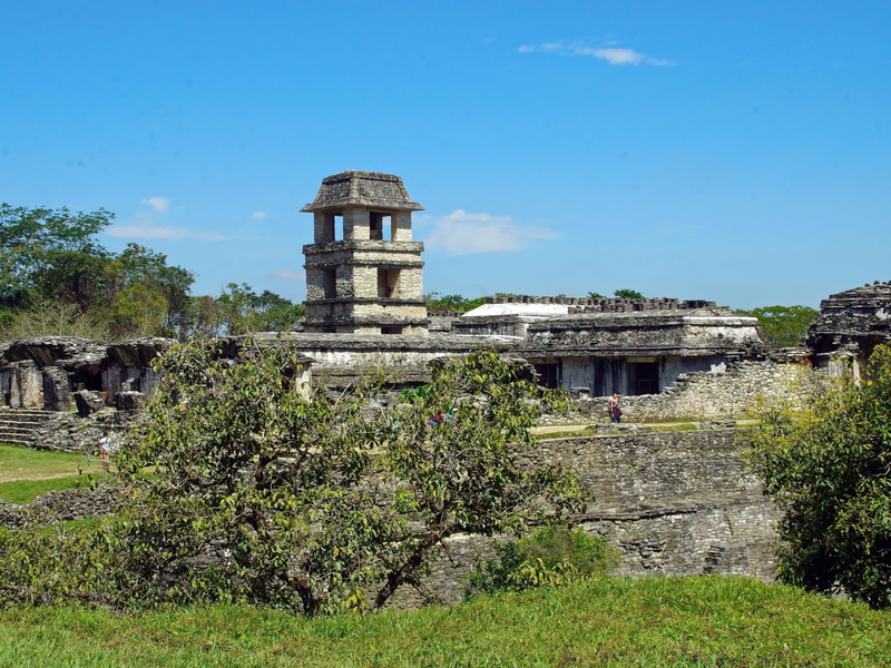 plant, building exterior, grass, growth, palace, architecture, nature, Archaeology, maya, the past, place of worship, Ruins, blue, Mexico, tree, travel