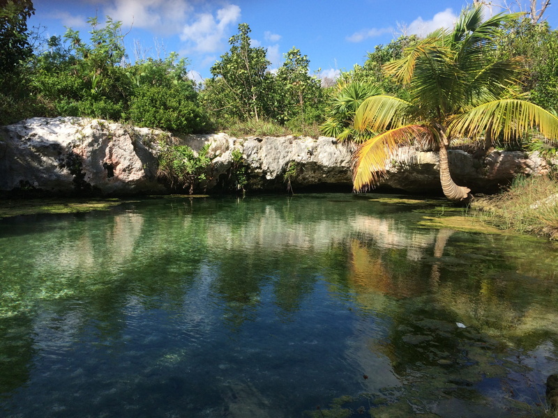 reflection, non-urban scene, tree, cloud - sky, 2K, tranquility, quintana roo, waterfront, no people, nature, Tulum, beauty in nature, plant, water, clean