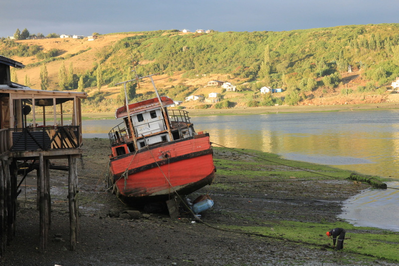 water, beauty in nature, transportation, landscape, nature, land vehicle, boat, sky, river, moored, chile, island, plant, chiloé, tree, land, sunset, lakes region