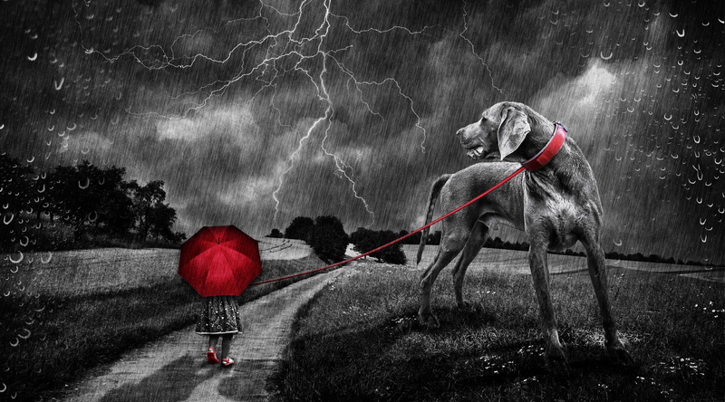Hike, Nature, Forward, real people, 4K, Promenade, Away, activity, domestic animals, thunderstorm, pets, Hiking, adult, landscape way, Shadow, dane, men