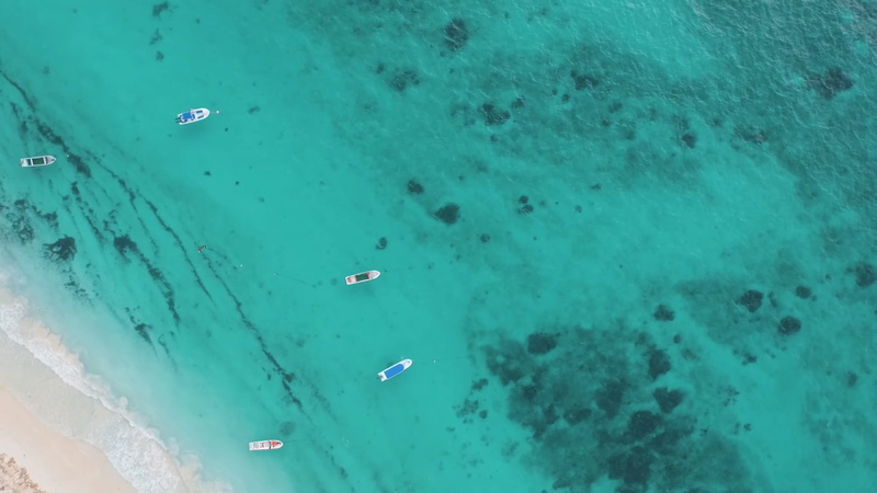 beauty in nature, boat, leisure activity, swimming, transparent, sea, white, high angle view, turquoise colored, day, land, outdoors, aquatic sport, floral