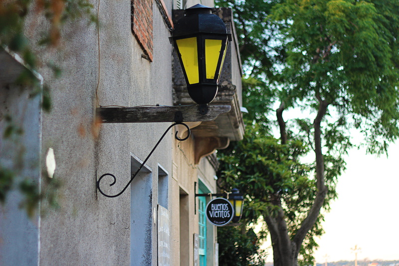 branch, metal, beauty, cement, wall - building feature, street light, uruguay, low angle view, green, electric lamp, outdoors, architecture, built structure