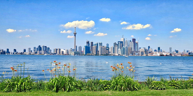travel destinations, urban skyline, downtown district, modern, plants, urban, city life, Toronto, harbor, nature, residential district, 4K, view, landscape