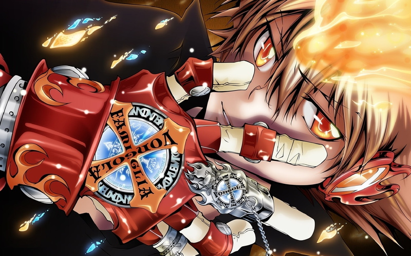 reborn, manga, game, hitman, 1080P, katekyo, cartoons, comics