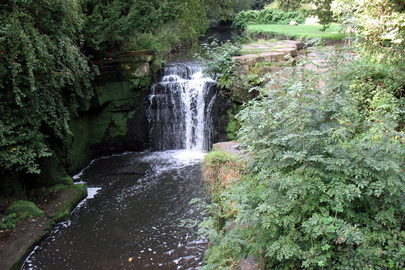 wet, travel, outdoors, newcastle upon tyne, greens, stream, tropical Rainforest, environment, england, motion, lush Foliage, waterfall, flowing, body, tree