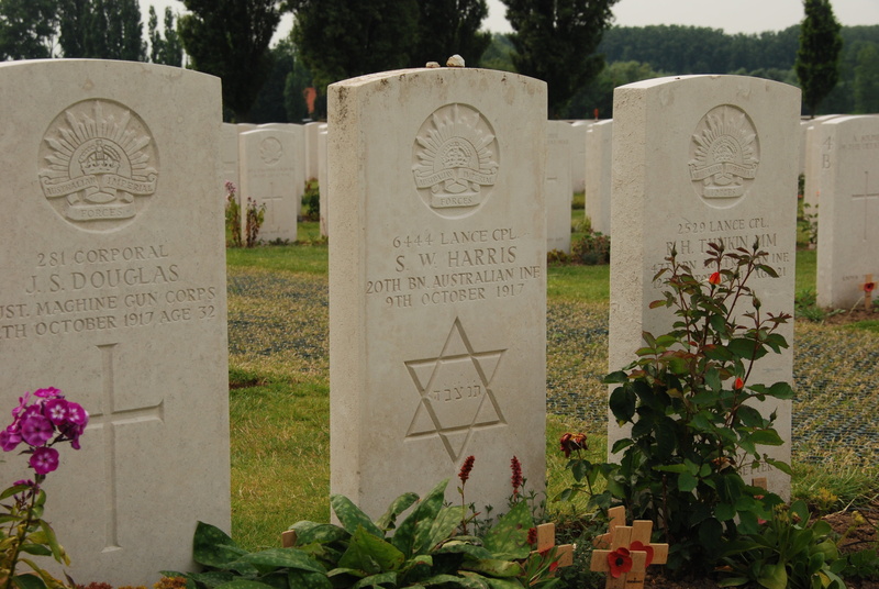 flower, day, stone material, plant, architecture, memorial, nature, star, the past, tombstone, tyne cot, belief, war, israel, remembrance day, outdoors