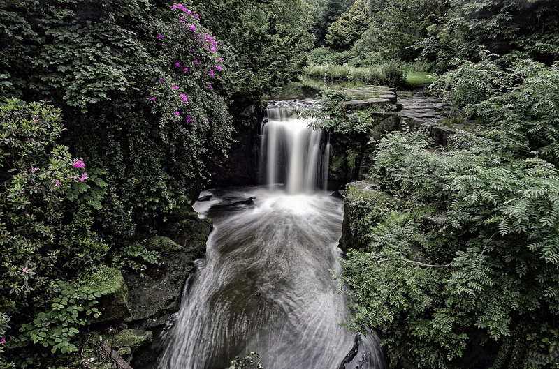 the bushes, England, forest, Jesmond Dene Waterfall, waterfall, 1080P, Newcastle