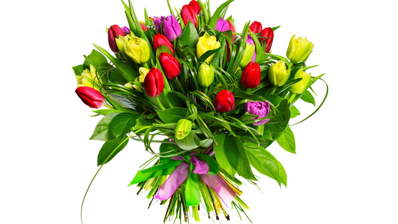 green color, plant part, bouquets, fragility, nature, plant, no people, flowering plant, flower head, leaf, white background, studio shot, inflorescence