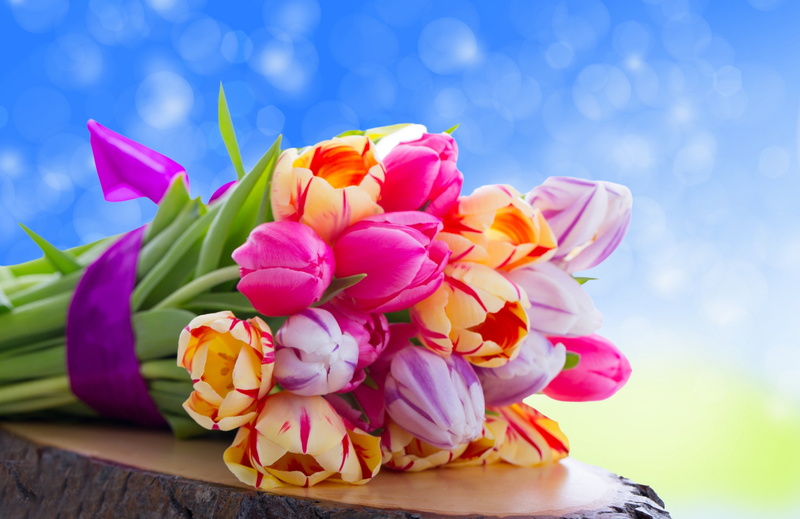 blue, easter, backgrounds, flowers, orange, day, focus on foreground, celebration, plant, birthday, bunch of flowers, flower Head, pink Color, nature, multi Colored