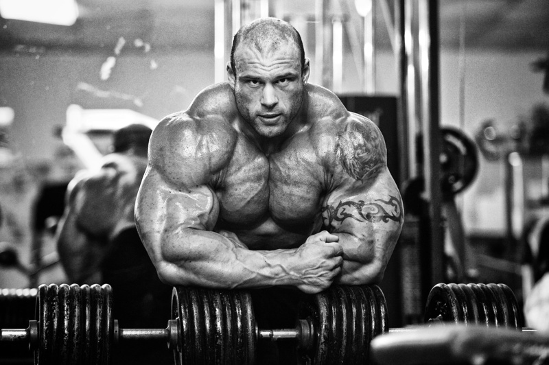 1080P, morgan aste, bodybuilder, big rock, muscles