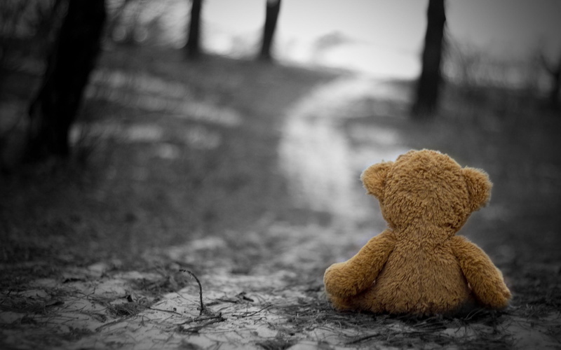 2K, loneliness, teddy Bear, depression - sadness, lost, doll, brown, fluffy, childhood, cute, toys, representation, sadness, outdoors, absence, day, abandoned