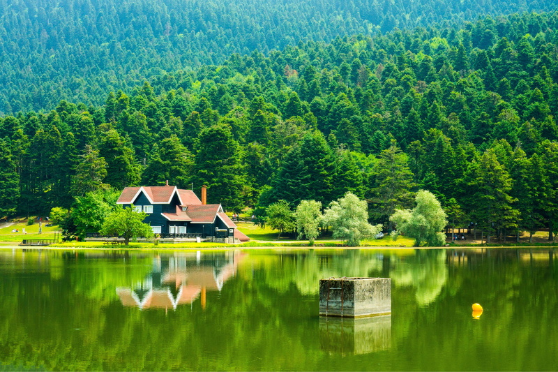 waterfront, no people, tranquil scene, built structure, tranquility, brown, growth, outdoors, lake, 4K, building exterior, green, green color, natural light