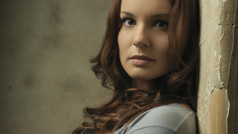1080P, Prison Break, TV Show