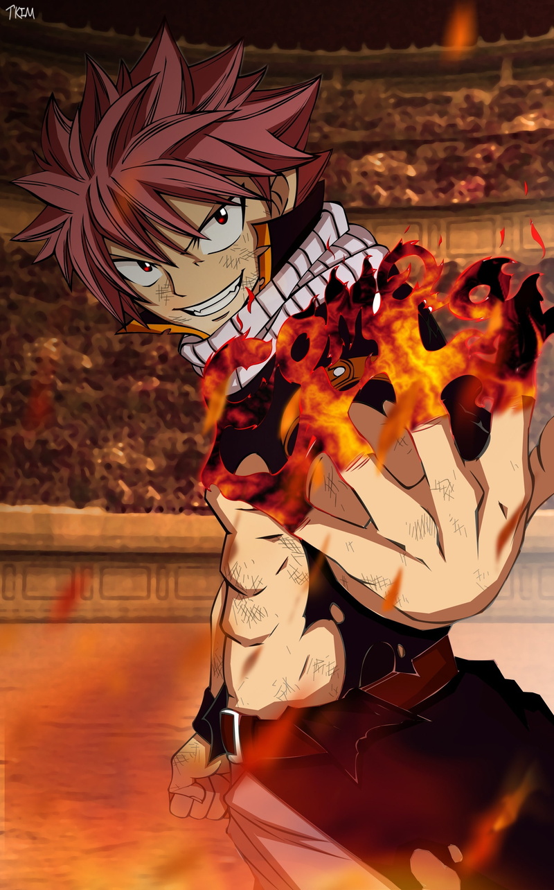 2K, pink, eyes, fighter, anime, hd, dragneel, tail, red, hair, boys, wallpa, fairy, Fire, natsu, manga, art, x