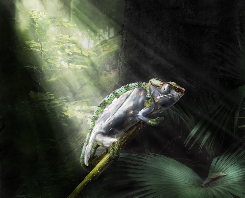 Robot, Sci Fi, Chameleon, Lizard, 1080P, Sunbeam