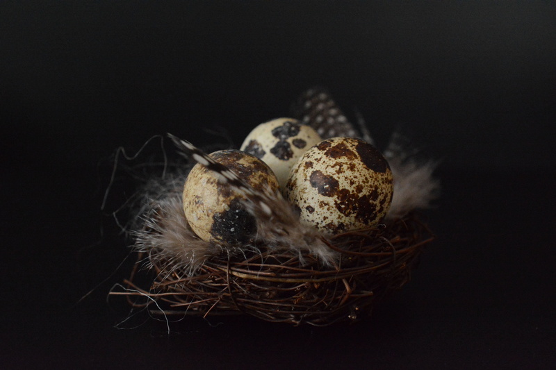 easter, basket, nest, still life, evacuated, custom, food, easter greetings, food and drink, upset, group of objects, studio shot, small group of objects