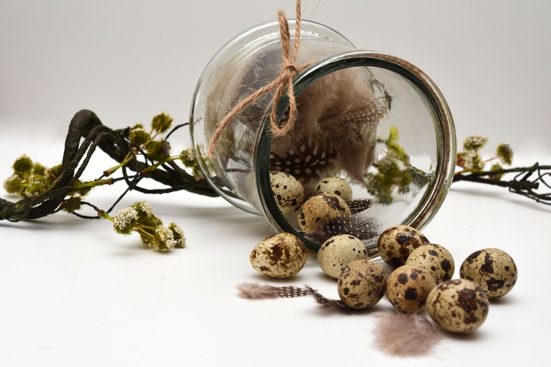quail eggs, egg, nature, tree, healthy eating, glass, custom, still life, decoration, 4K, easter, no people, wellbeing, food, happy easter, easter greetings