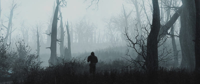 trunk, environment, spooky, one person, plant, nature, tree trunk, non-urban scene, silhouette, tranquility, woodland, standing, tree, dual monitors video games fallout4