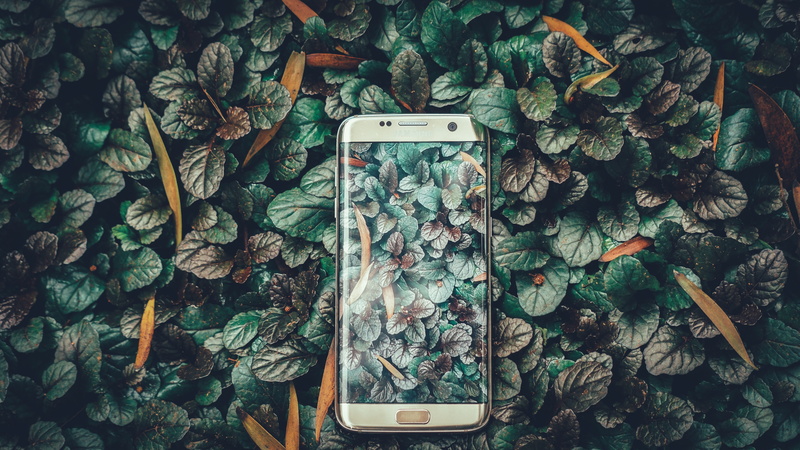 mobile phone, floral, plant, background, plant part, light, landscape, s, connection, wood - material, communication, high angle view, wireless technology