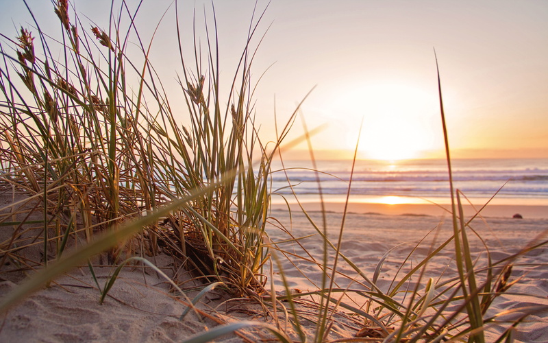 plant, waves, sky, land, summer, 5K, sun, overlooking, landscape, sunset, dawn, sunlight, tranquility, sea, tranquil scene, ocean, beauty in nature