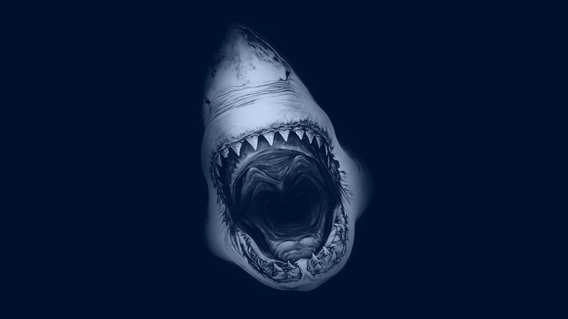 Great White Shark, 1080P