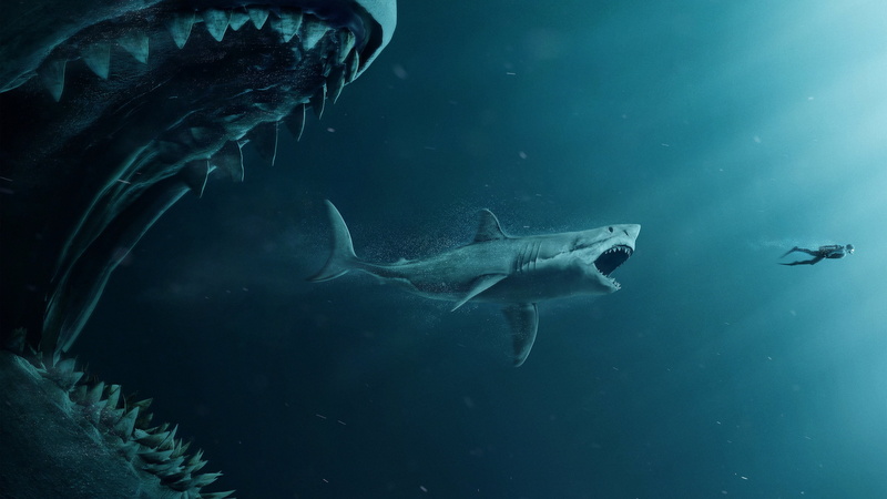4K, 4K, The Meg, shark, diver