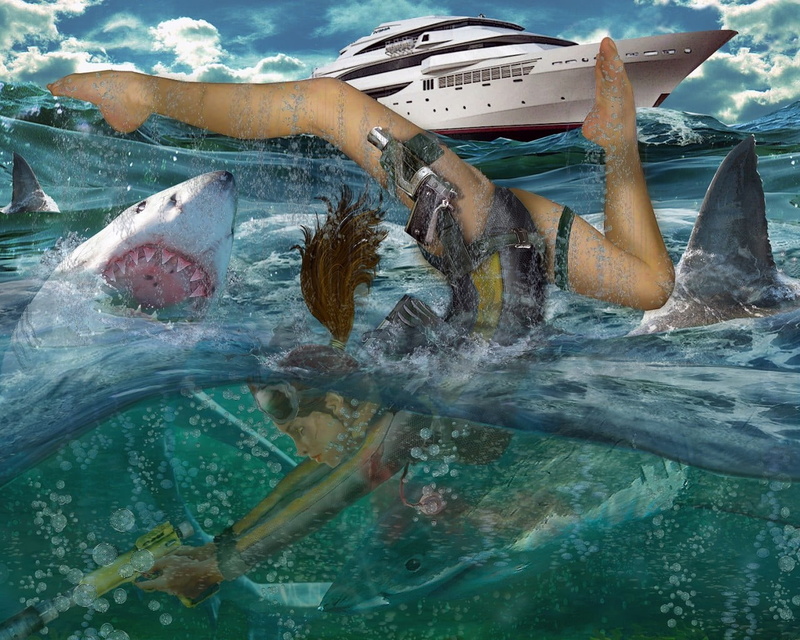 Diving, ice, underwater, vertebrate, Harpoon, nature, freshness, sea, Water, outdoors, animals in the wild, marine, animal, animal themes, 720P, sea Life