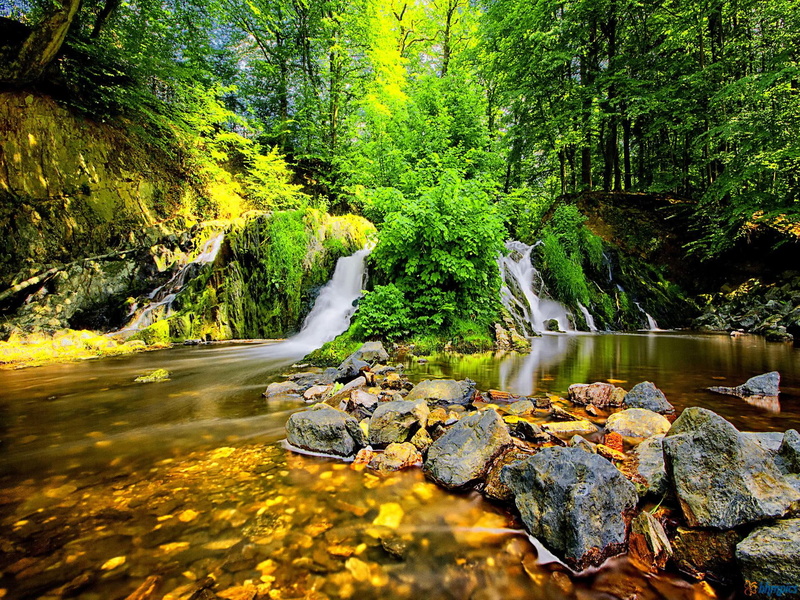 rocks, lovely, greenery, beautiful, 1080P, sunny, waterfall, rays, stones, grass, wate, nice, falling, forest, fall