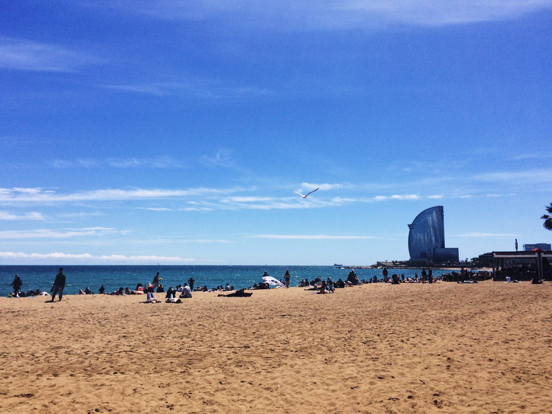 animal themes, 2K, la barceloneta, flying, barceloneta, scenics - nature, nature, incidental people, sea, day, beach, w hotel, water, sand, cloud - sky