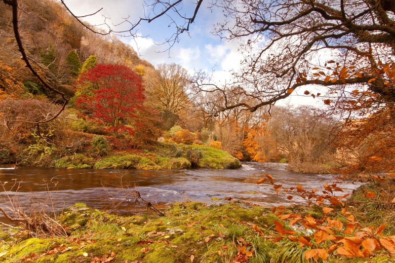 natura, jesienne, rzeka, autumn, drzewa, trees, 1080P, river, nature and landscapes