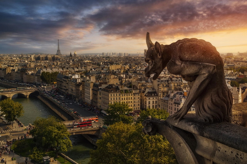 Paris, Notre Dame de Paris, the city, the gutter, France, 1080P, the Gothic Cathedral, Notre Dame Cathedral, Gargoyle