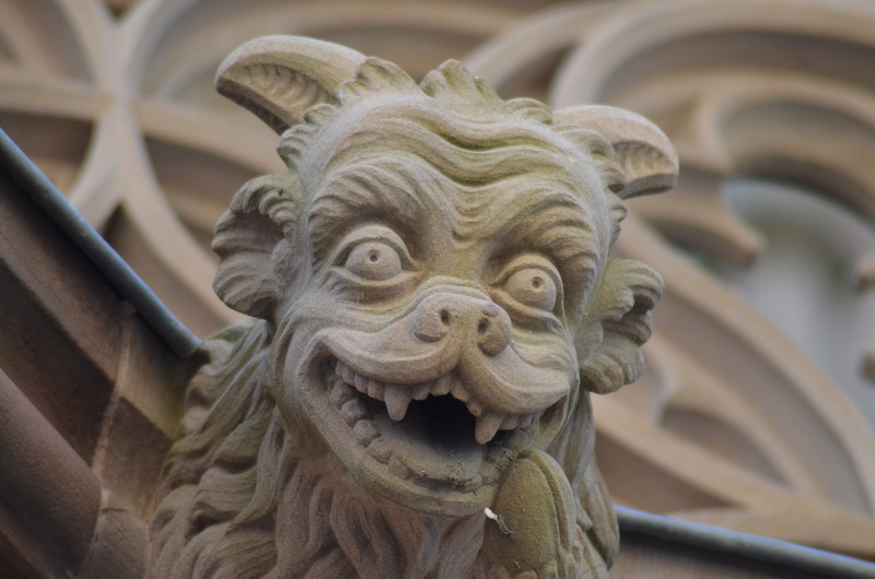 animal representation, beige, history, craft, gargoyle, lion - feline, close-up, strasbourg, building, cathedral, no people, church, carving - craft product