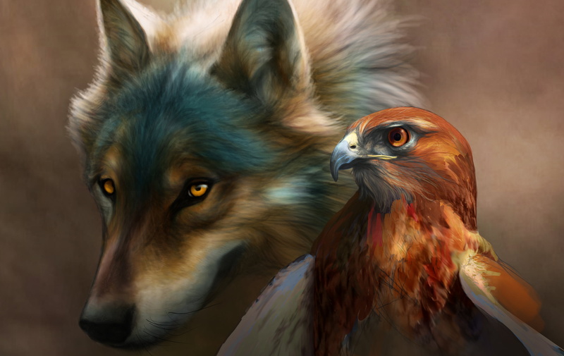 novawuff, no People, art, animal Head, brown, pets, wildlife, animals Hunting, vertebrate, day, digital, animal Eye, looking, eagle, carnivore, hawk, nature