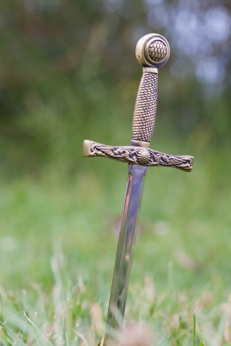 animal themes, outdoors, weapon, cutting, ground, instrument, photography, handle, nature, edge, steel, sharp, metal, land, cut, focus on foreground, danger