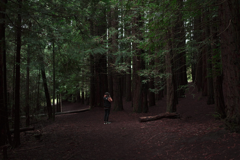 leisure activity, real people, explore, photographer, growth, photographer exploring, tree trunk, forest, wilderness, canon, one person, day, beauty in nature