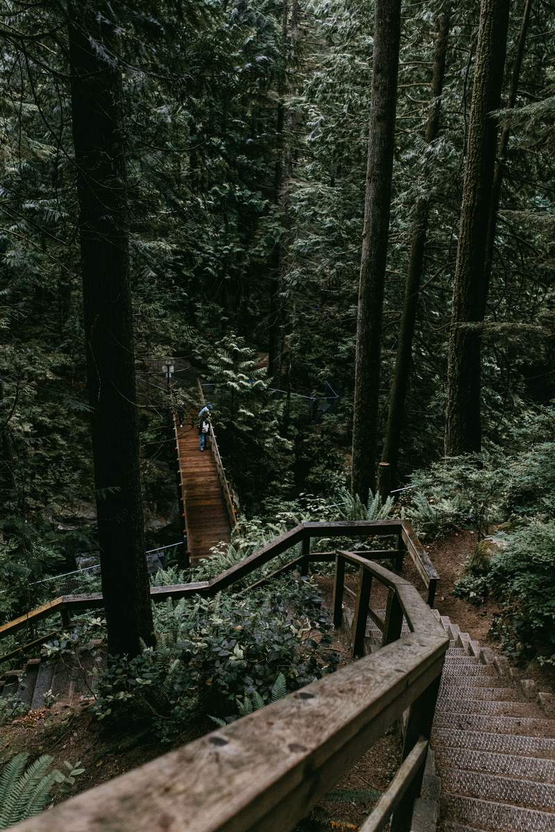 walking, near, explore, wanderlust, moss, adventure, plant, people, fern, british columbium, land, wood - material, earthy, tranquil scene, daytime, brown