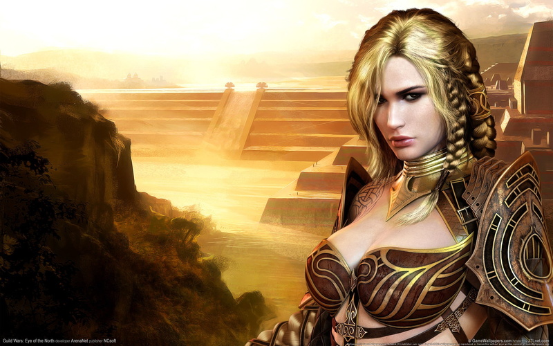 graphic, wars, video games, female, guild, 1080P, warrior, hd